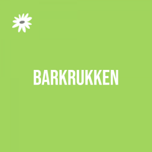 Barkrukken