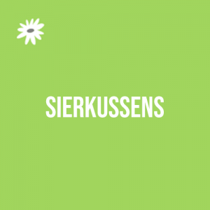 Sierkussens