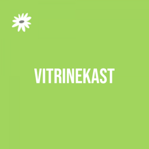 Vitrinekast