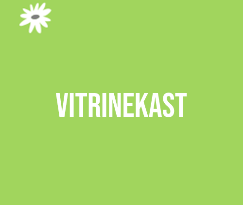 vitrinekast