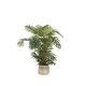 LABEL51  Areca Palm - Groen - Kunststof - 110 cmLABEL51