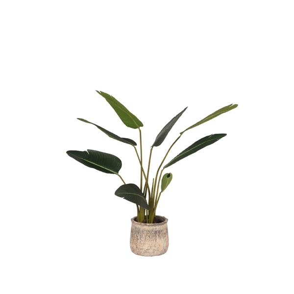 LABEL51 Woondecoratie Strelitzia - Groen - Kunststof - 100 cmLABEL51
