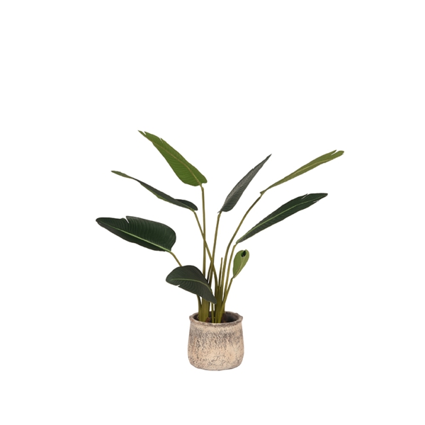 LABEL51  Strelitzia - Groen - Kunststof - 100 cmLABEL51