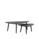 LABEL51 Salontafels Set Rock - Zwart - Mangohout - 110 cmLABEL51